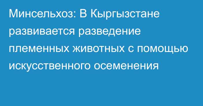 Минсельхоз: В Кыргызстане развивается разведение племенных животных с помощью искусственного осеменения