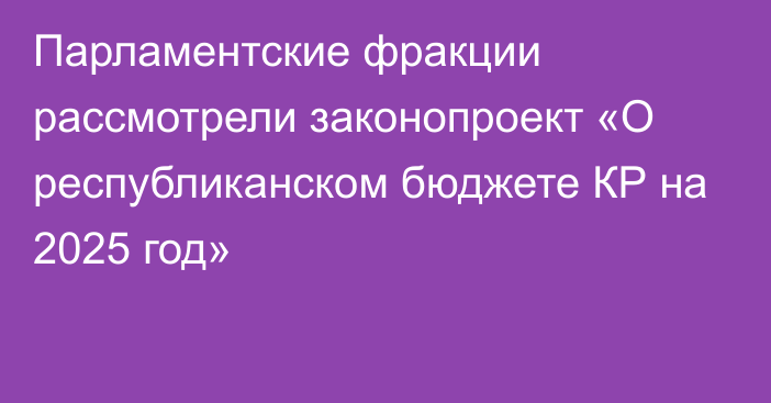 Парламентские фракции рассмотрели законопроект «О республиканском бюджете КР на 2025 год»