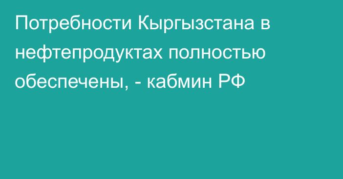 Потребности Кыргызстана в нефтепродуктах полностью обеспечены, - кабмин РФ