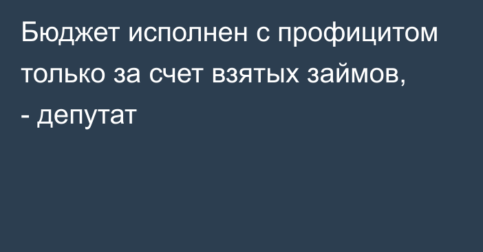 Бюджет исполнен с профицитом только за счет взятых займов, - депутат