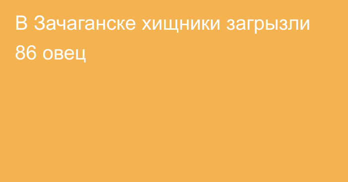 В Зачаганске хищники загрызли 86 овец