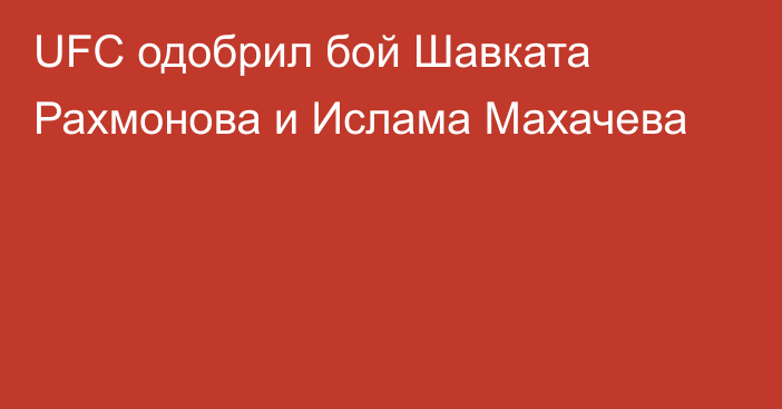 UFC одобрил бой Шавката Рахмонова и Ислама Махачева