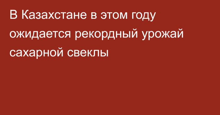 В Казахстане в этом году ожидается рекордный урожай сахарной свеклы