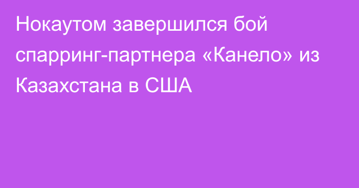 Нокаутом завершился бой спарринг-партнера «Канело» из Казахстана в США