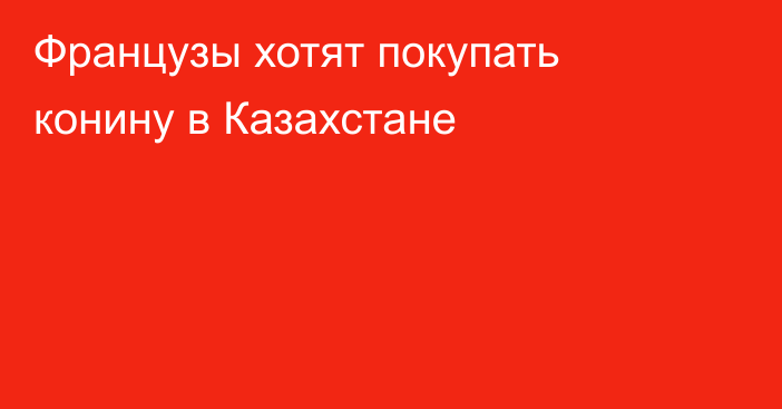 Французы хотят покупать конину в Казахстане