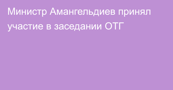 Министр Амангельдиев принял участие в заседании ОТГ