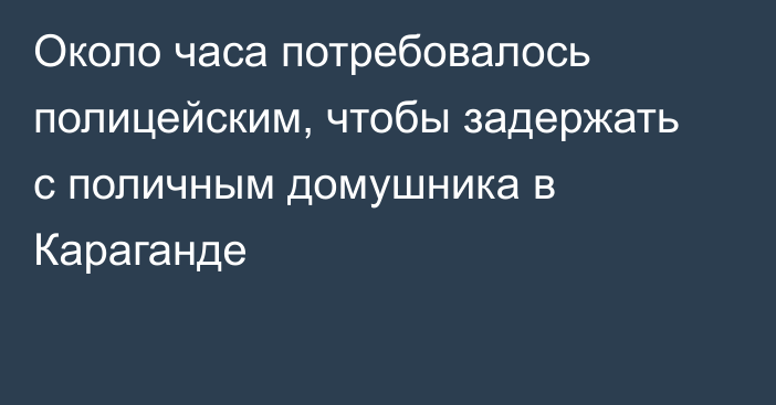 Около часа потребовалось полицейским, чтобы задержать с поличным домушника в Караганде