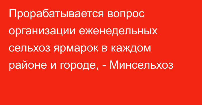 Прорабатывается вопрос организации еженедельных сельхоз ярмарок в каждом районе и городе, - Минсельхоз