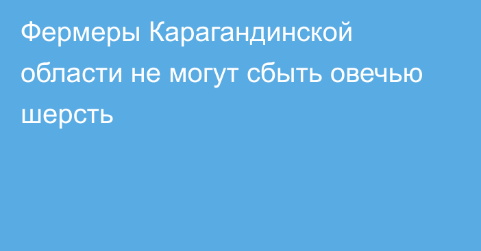 Фермеры Карагандинской области не могут сбыть овечью шерсть