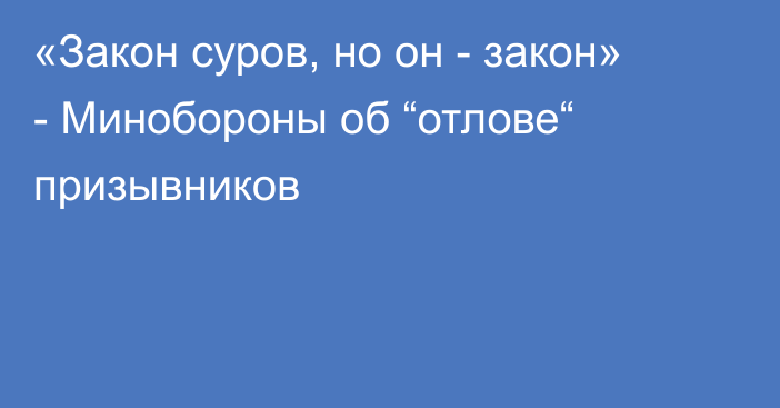 «Закон суров, но он - закон» - Минобороны об “отлове“ призывников