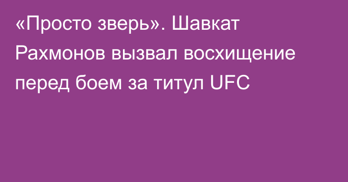 «Просто зверь». Шавкат Рахмонов вызвал восхищение перед боем за титул UFC