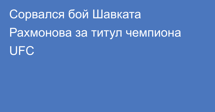 Сорвался бой Шавката Рахмонова за титул чемпиона UFC