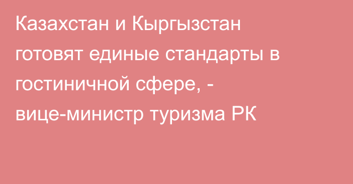 Казахстан и Кыргызстан готовят единые стандарты в гостиничной сфере, - вице-министр туризма РК