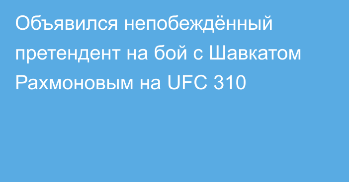 Объявился непобеждённый претендент на бой с Шавкатом Рахмоновым на UFC 310