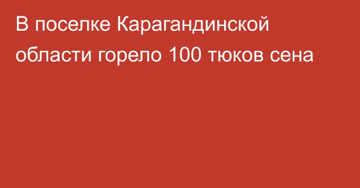 В поселке Карагандинской области горело 100 тюков сена