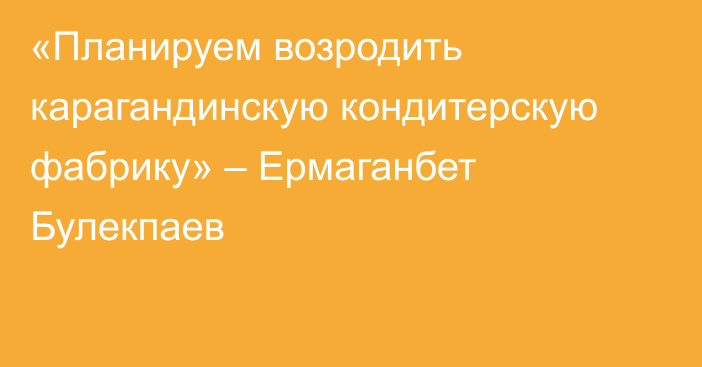 «Планируем возродить карагандинскую кондитерскую фабрику» – Ермаганбет Булекпаев