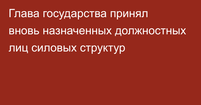 Глава государства принял вновь назначенных должностных лиц силовых структур