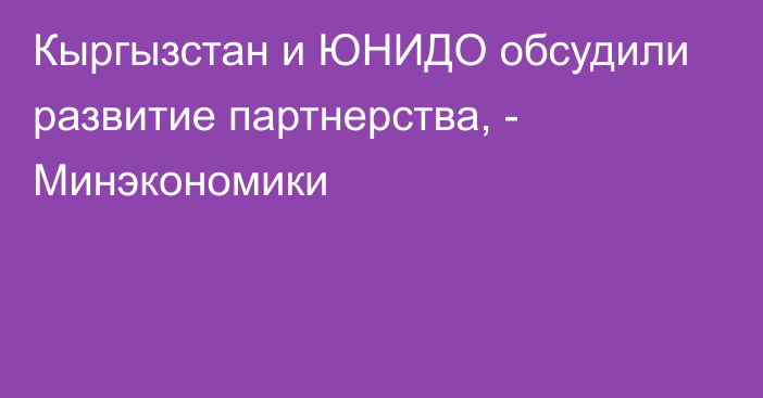 Кыргызстан и ЮНИДО обсудили развитие партнерства, - Минэкономики 