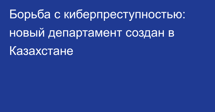 Борьба с киберпреступностью: новый департамент создан в Казахстане