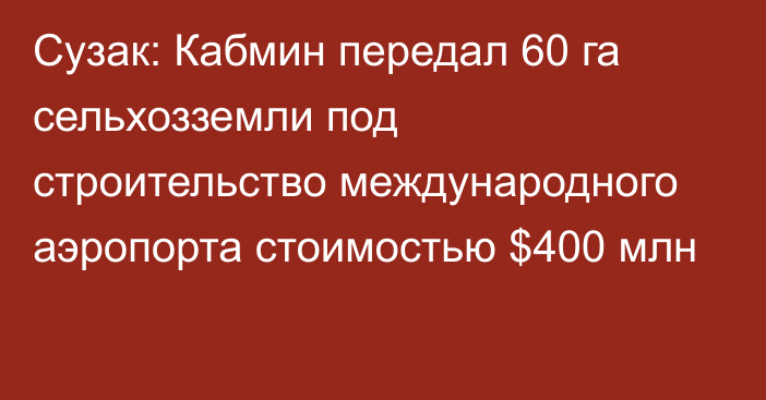 Сузак: Кабмин передал 60 га сельхозземли под строительство международного аэропорта стоимостью $400 млн