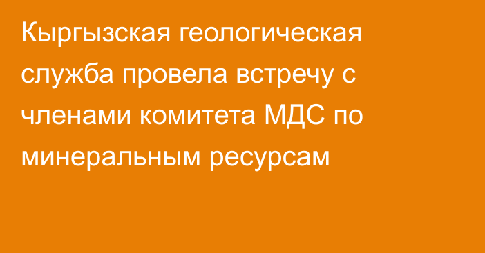 Кыргызская геологическая служба провела встречу с членами комитета МДС по минеральным ресурсам