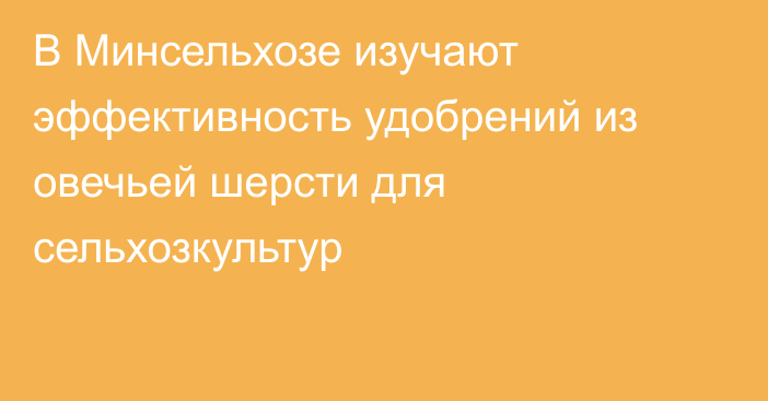 В Минсельхозе изучают эффективность удобрений из овечьей шерсти для сельхозкультур