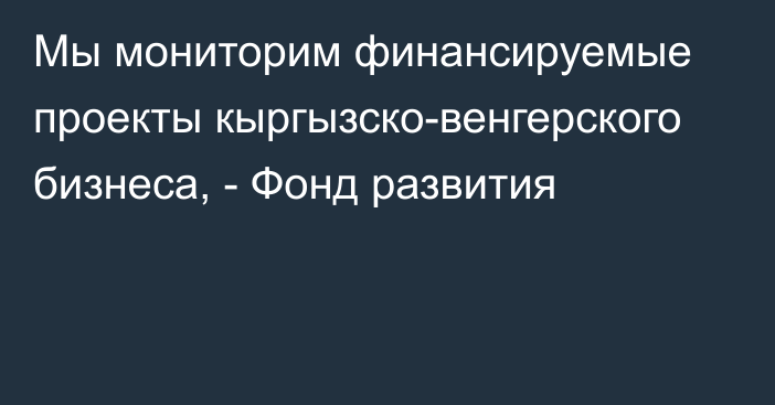 Мы мониторим финансируемые проекты кыргызско-венгерского бизнеса, - Фонд развития