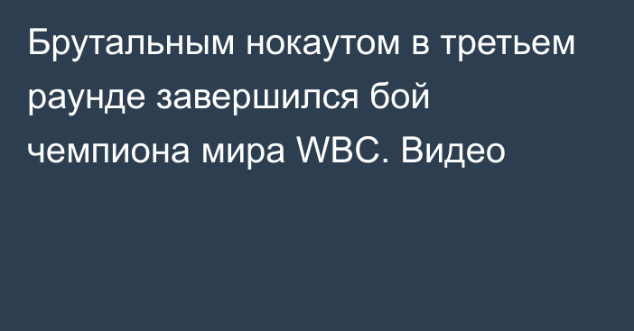 Брутальным нокаутом в третьем раунде завершился бой чемпиона мира WBC. Видео