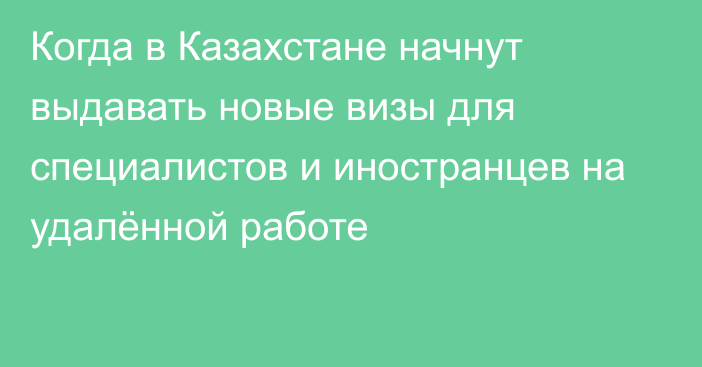 Когда в Казахстане начнут выдавать новые визы для специалистов и иностранцев на удалённой работе