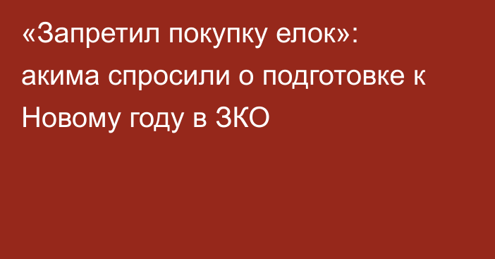 «Запретил покупку елок»: акима спросили о подготовке к Новому году в ЗКО