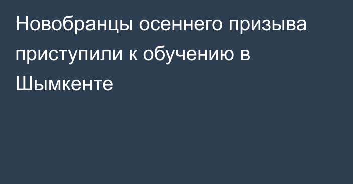 Новобранцы осеннего призыва приступили к обучению в Шымкенте