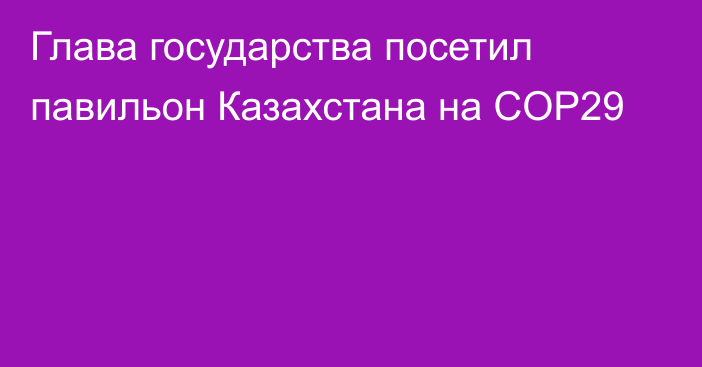 Глава государства посетил павильон Казахстана на СOP29