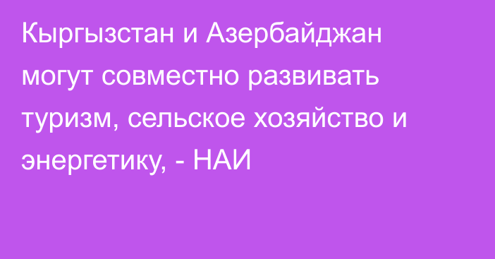 Кыргызстан и Азербайджан могут совместно развивать туризм, сельское хозяйство и энергетику, - НАИ