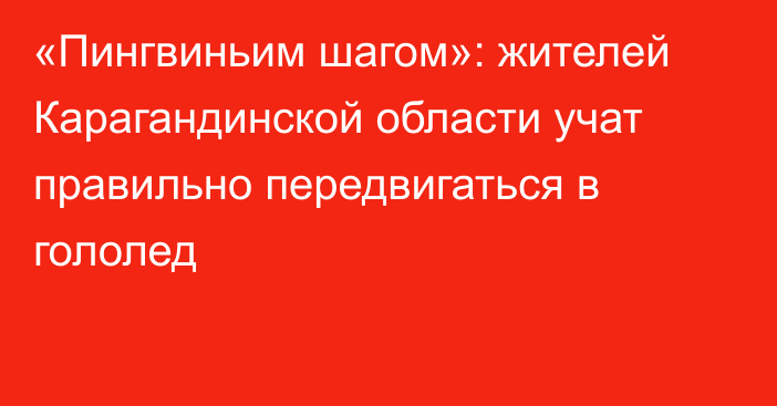 «Пингвиньим шагом»: жителей Карагандинской области учат правильно передвигаться в гололед