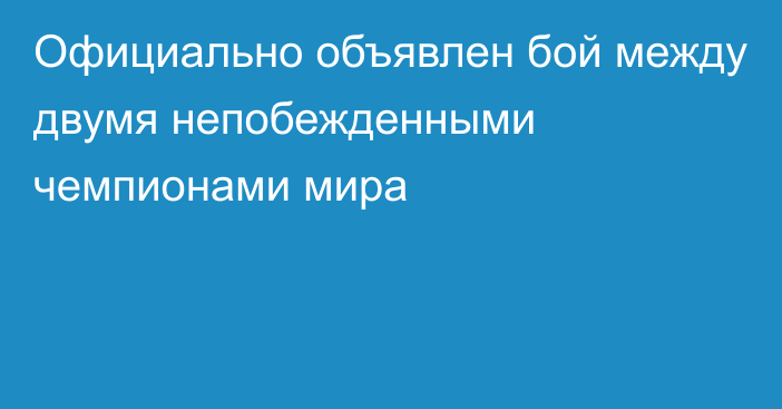 Официально объявлен бой между двумя непобежденными чемпионами мира