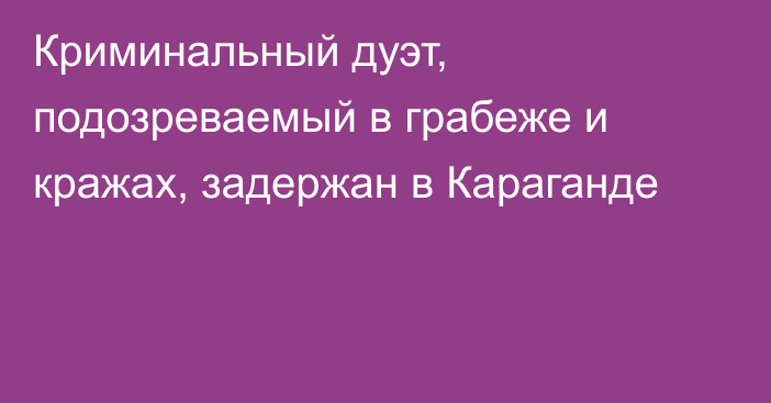 Криминальный дуэт, подозреваемый в грабеже и кражах, задержан в Караганде