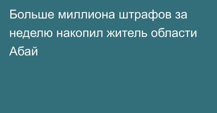 Больше миллиона штрафов за неделю накопил житель области Абай