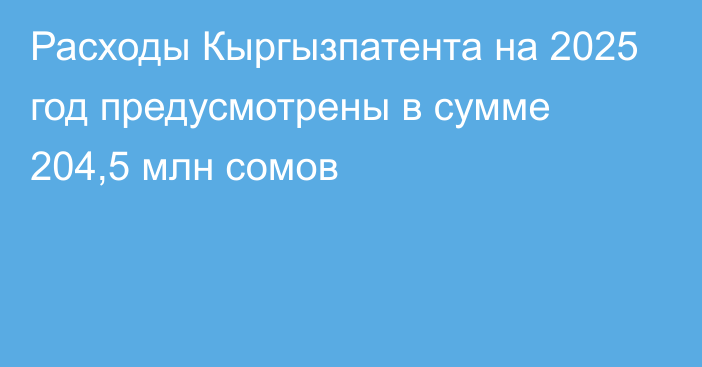 Расходы Кыргызпатента на 2025 год предусмотрены в сумме 204,5 млн сомов