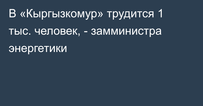 В «Кыргызкомур» трудится 1 тыс. человек, - замминистра энергетики