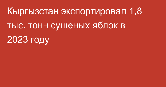 Кыргызстан экспортировал 1,8 тыс. тонн сушеных яблок в 2023 году