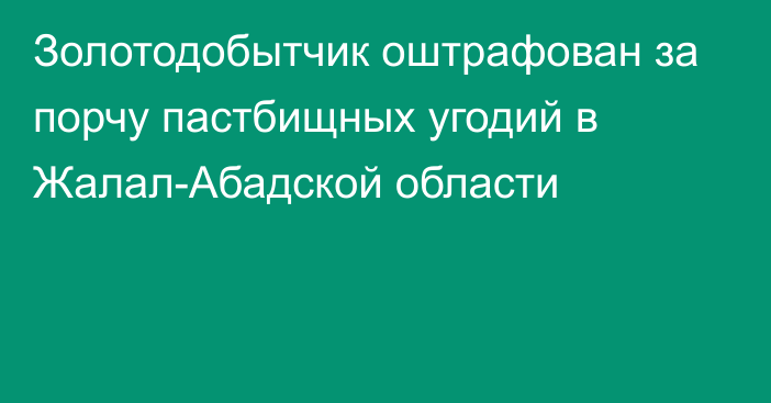 Золотодобытчик оштрафован за порчу пастбищных угодий в Жалал-Абадской области