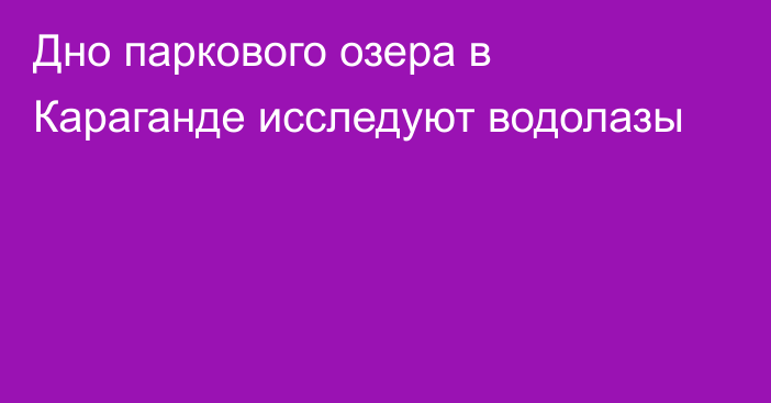 Дно паркового озера в Караганде исследуют водолазы