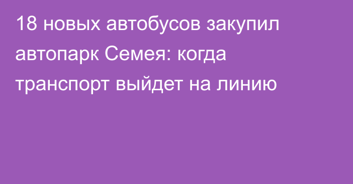 18 новых автобусов закупил автопарк Семея: когда транспорт выйдет на линию