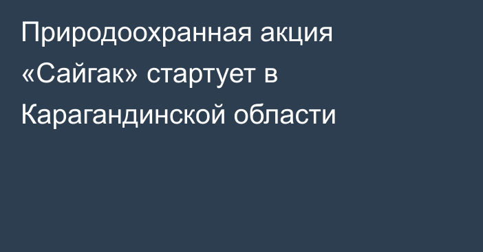 Природоохранная акция «Сайгак» стартует в Карагандинской области