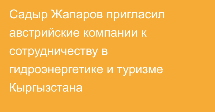 Садыр Жапаров пригласил австрийские компании к сотрудничеству в гидроэнергетике и туризме Кыргызстана