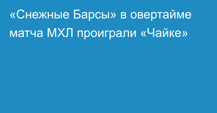 «Снежные Барсы» в овертайме матча МХЛ проиграли «Чайке»