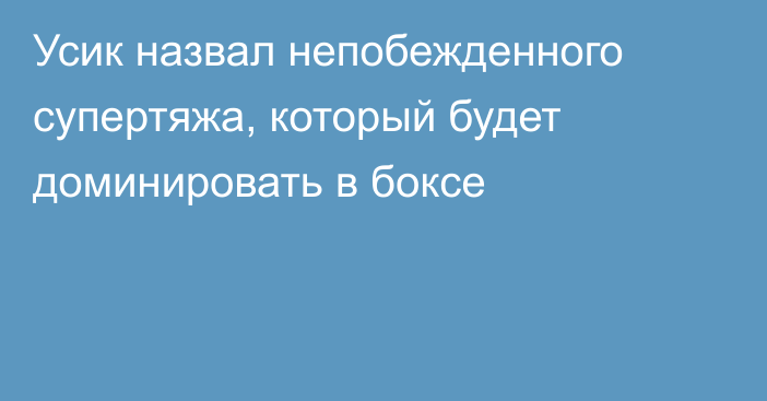 Усик назвал непобежденного супертяжа, который будет доминировать в боксе