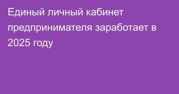 Единый личный кабинет предпринимателя заработает в 2025 году