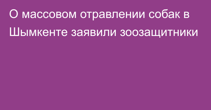 О массовом отравлении собак в Шымкенте заявили зоозащитники