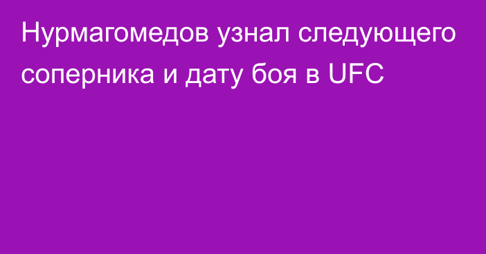 Нурмагомедов узнал следующего соперника и дату боя в UFC